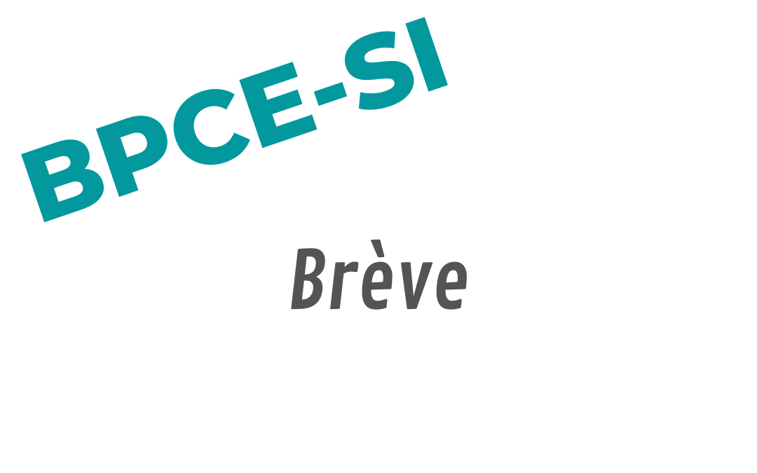 SUD BPCE COMMUNAUTE <br> Union Syndicale Solidaires 12 Future plateforme sociale. De la transformation de l’intéressement en part variable